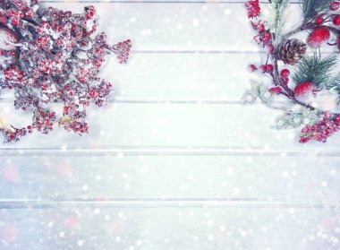 köknar dalları konileri ve kar ile kış arka plan