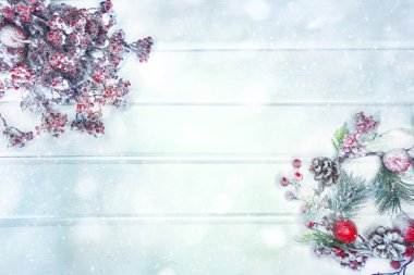 köknar dalları konileri ve kar ile kış arka plan