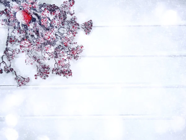 Зимний фон с конусами елки и снегом — стоковое фото