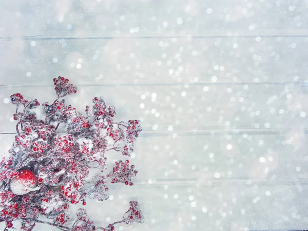 Winterhintergrund mit Tannenzapfen und Schnee — Stockfoto