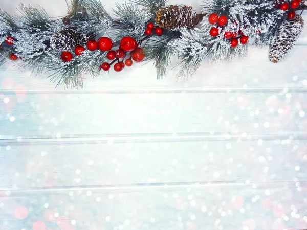 Winter background with fir branches cones and snow — Stock Photo, Image