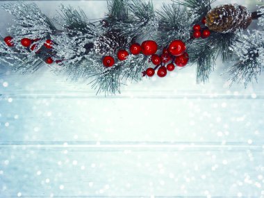 köknar dalları konileri ve kar ile kış arka plan