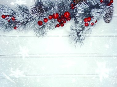 köknar dalları konileri ve kar ile kış arka plan