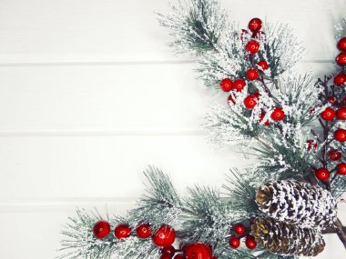 köknar dalları konileri ve kar ile kış arka plan