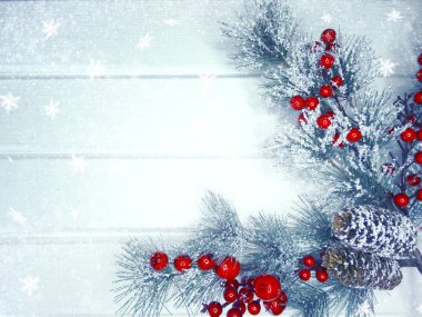 köknar dalları konileri ve kar ile kış arka plan