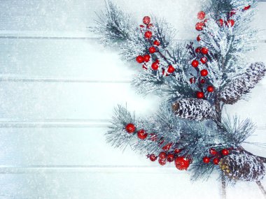 köknar dalları konileri ve kar ile kış arka plan