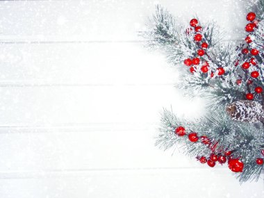 köknar dalları konileri ve kar ile kış arka plan