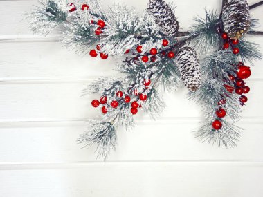 köknar dalları konileri ve kar ile kış arka plan