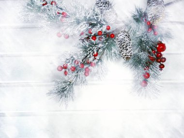 köknar dalları konileri ve kar ile kış arka plan