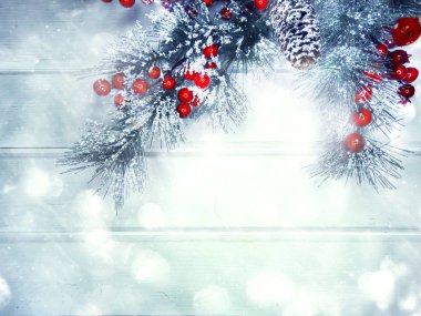 köknar dalları konileri ve kar ile kış arka plan