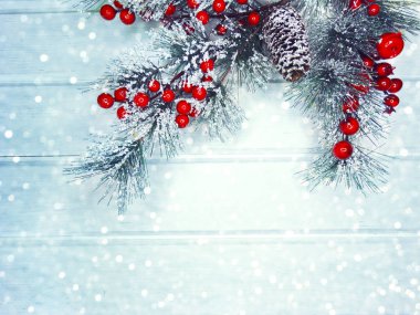 köknar dalları konileri ve kar ile kış arka plan