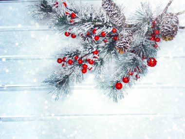 köknar dalları konileri ve kar ile kış arka plan