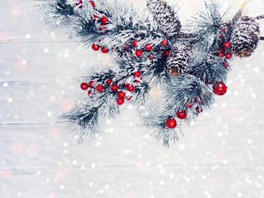 köknar dalları konileri ve kar ile kış arka plan