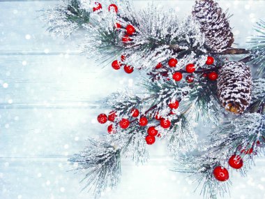 köknar dalları konileri ve kar ile kış arka plan