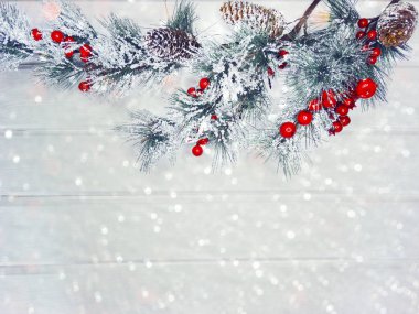 köknar dalları konileri ve kar ile kış arka plan