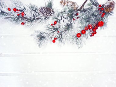 köknar dalları konileri ve kar ile kış arka plan