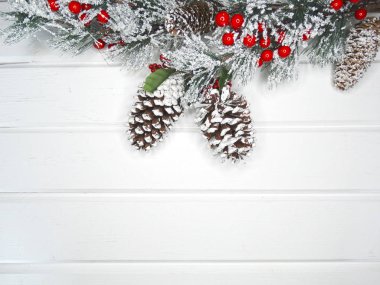 köknar dalları konileri ve kar ile kış arka plan