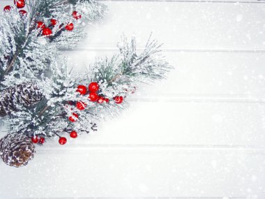 köknar dalları konileri ve kar ile kış arka plan