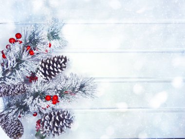 köknar dalları konileri ve kar ile kış arka plan