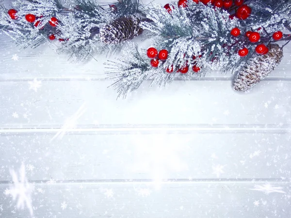 Fundo de inverno com cones de ramos de abeto e neve — Fotografia de Stock