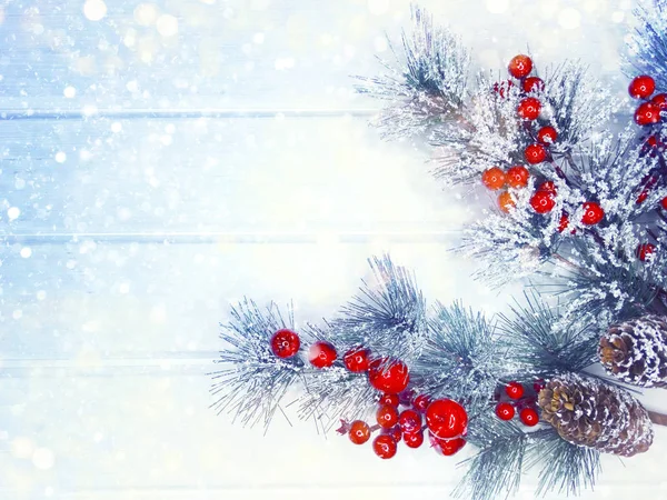 Fond d'hiver avec branches de sapin cônes et neige — Photo