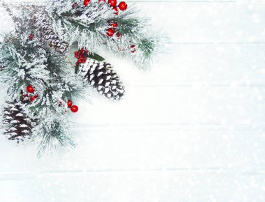 köknar dalları konileri ve kar ile kış arka plan