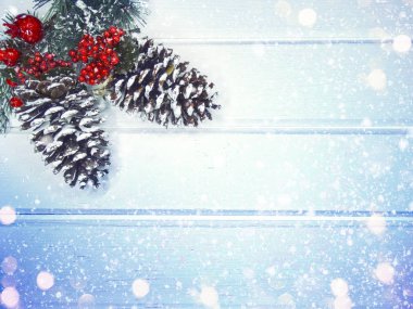 köknar dalları konileri ve kar ile kış arka plan