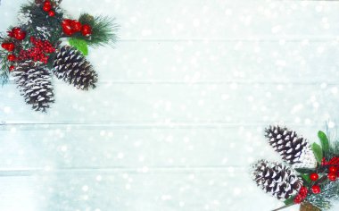 köknar dalları konileri ve kar ile kış arka plan