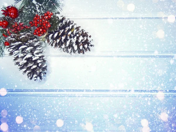 köknar dalları konileri ve kar ile kış arka plan