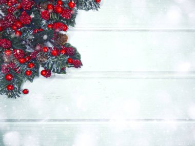 köknar dalları konileri ve kar ile kış arka plan