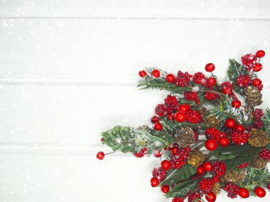 köknar dalları konileri ve kar ile kış arka plan