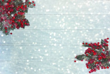 köknar dalları konileri ve kar ile kış arka plan