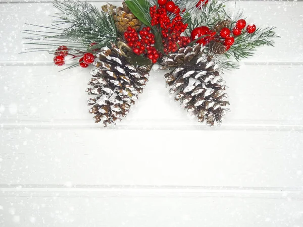 Winter background with fir branches cones and snow — Stock Photo, Image