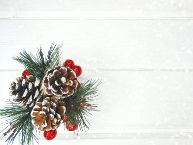 köknar dalları konileri ve kar ile kış arka plan