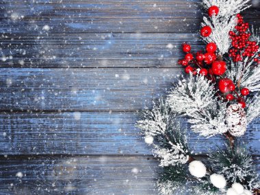 köknar dalları konileri ve kar ile kış arka plan