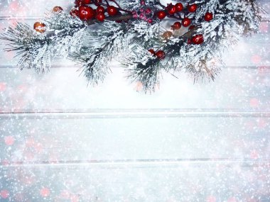 köknar dalları konileri ve kar ile kış arka plan