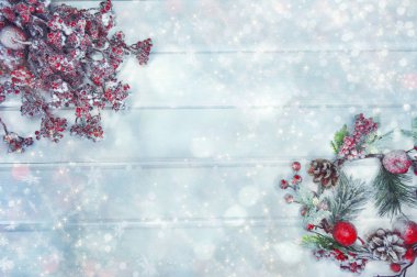 köknar dalları konileri ve kar ile kış arka plan