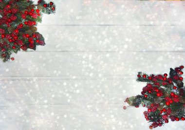 köknar dalları konileri ve kar ile kış arka plan