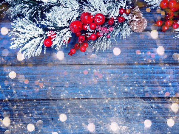 Vinter bakgrund med Gran grenar kottar och snö — Stockfoto