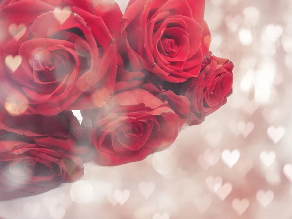 红玫瑰情人节爱情背景 — 图库照片