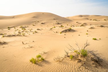 Abu Dabi 'deki boş çeyrek, uae