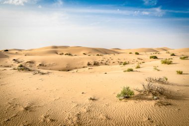 Abu Dabi 'deki boş çeyrek, uae