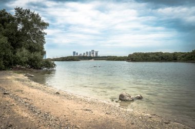 Abu Dabi 'deki Mangrove Milli Parkı.