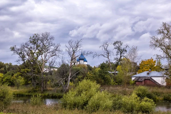 흐린가 러시아 Provinctown 풍경입니다 마리아 로제스트벤스키 Kamenka Cathedralnativity 러시아 — 스톡 사진