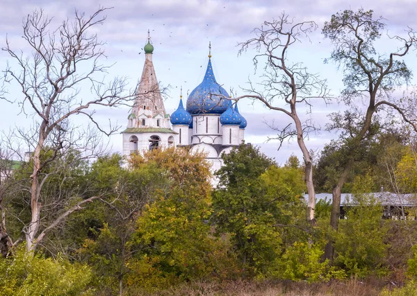 Vista Antigua Ciudad Provincial Rusa Suzdal Día Claro Otoño Catedral — Foto de Stock