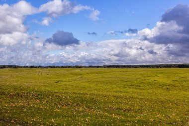 Pastoral sonbahar doğal manzara. Gökyüzü ve dünya.