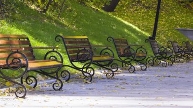 Boş banklar sonbahar şehir parkında bir dizi