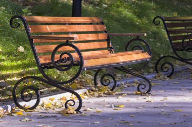 Sonbahar Park Vintage tezgah