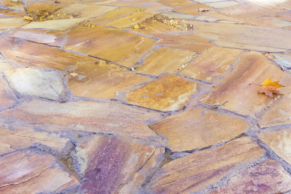 Soyut grafik desen ofsunspot ve ıslak renkli kaldırım döşeme gölge