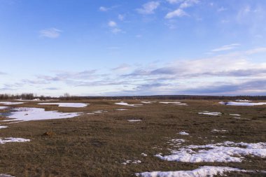 Güneşli bahar günü kar kalıntıları ile sonsuz düz çayır
